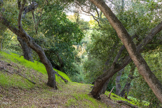 1270 Dove Meadow Road, Solvang CA: https://media.crmls.org/mediaz/2978f66b-c441-4e6e-9637-6050f87b6147.jpg