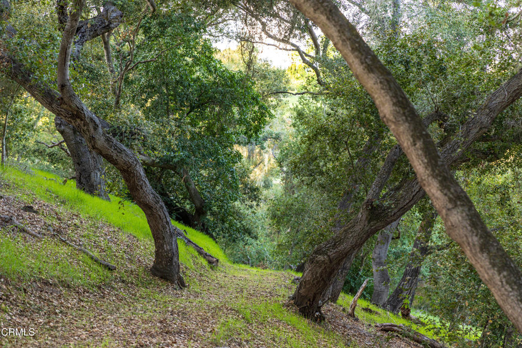 https://media.crmls.org/mediaz/2978f66b-c441-4e6e-9637-6050f87b6147.jpg?preset=X-Large