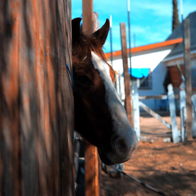 Detail Gallery Image 2 of 17 For 41945 Apple Rd, Anza,  CA 92539 - 3 Beds | 1 Baths