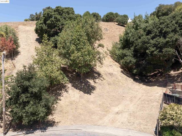 3446 Eureka Ct, Hayward CA: https://media.crmls.org/mediaz/2995a746-c6ca-4883-8723-74c8f2c53cfd.jpg