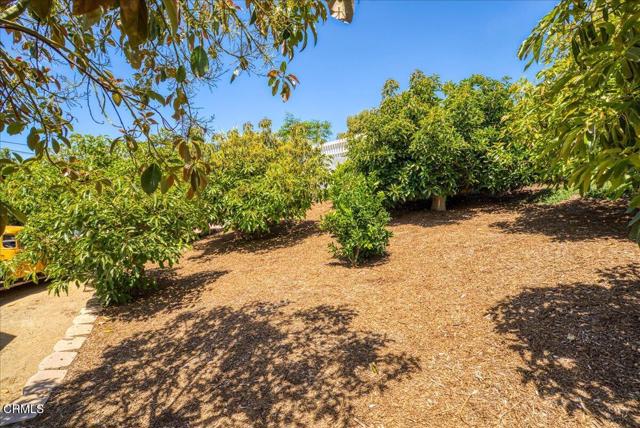 Detail Gallery Image 60 of 75 For 706 Alosta Dr, Camarillo,  CA 93010 - 3 Beds | 2 Baths