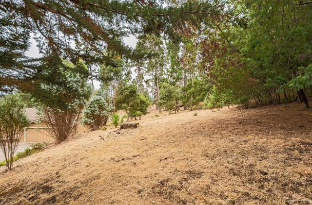 19400 Eden Court, Salinas CA: https://media.crmls.org/mediaz/2999120e-16b9-4e03-b000-48c4defb4d7c.jpg