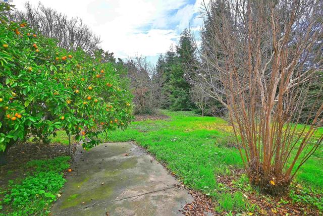 Image 37 of 51 For 181 Lewelling Blvd