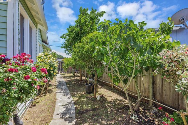 6831 Dairy Ave, Newark CA: https://media.crmls.org/mediaz/29b6a544-8812-44f3-8d60-bdf0b5962c26.jpg