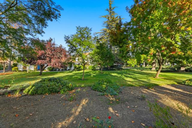 1092 Strayer Drive, San Jose CA: https://media.crmls.org/mediaz/29c0f2f1-28fb-4fb1-ad73-6cb1f8fc94a5.jpg