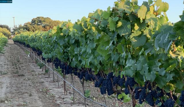 Image 21 of 60 For 5267 Old Sonoma Rd