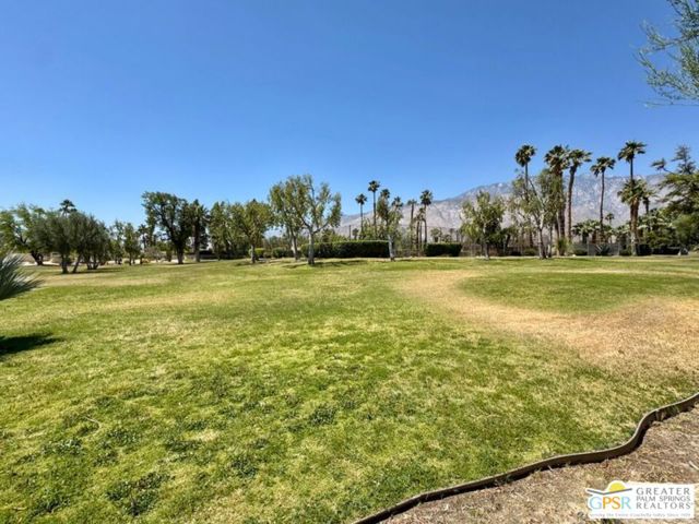 1533 N Sunflower Court, Palm Springs CA: https://media.crmls.org/mediaz/29c8f0a9-5ad9-420a-b3d0-0e3e71528af9.jpg