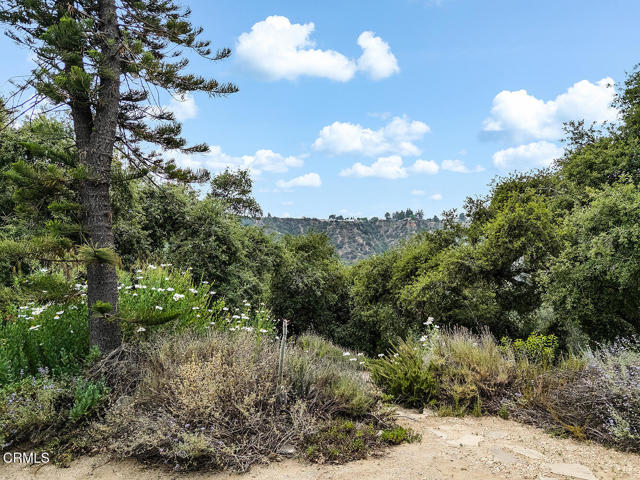 4155 Aralia Road, Altadena CA: https://media.crmls.org/mediaz/29d5776f-24d3-4804-b4dc-36472c3b86bb.jpg