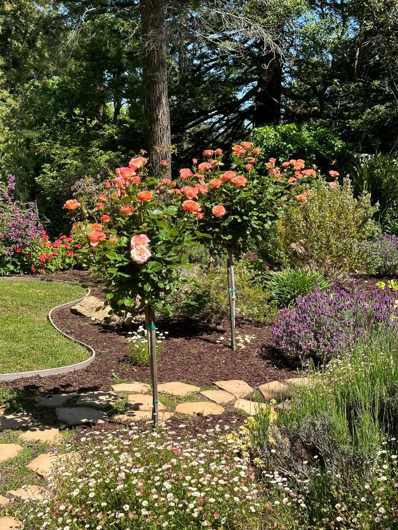 MLS #ML82024333 image #33