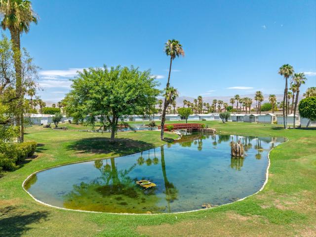 84136 Avenue 44, Indio CA: https://media.crmls.org/mediaz/29d9f9a8-1b2a-4304-b021-e5f9ff876e99.jpg