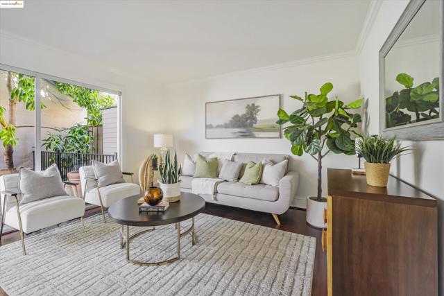 15 Long Creek Cir, Clayton CA: https://media.crmls.org/mediaz/29e039c1-02f2-489e-b902-17cb6a158c9e.jpg