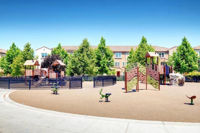 1452 Lavender Loop, Milpitas CA: https://media.crmls.org/mediaz/29e0a1dd-cae4-46f8-af91-5c1bbdd2900e.jpg