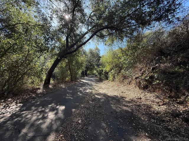 0 Wildcat Canyon Road, Lakeside CA: https://media.crmls.org/mediaz/29eed274-13b9-4c74-b0c8-bbc02ade608b.jpg