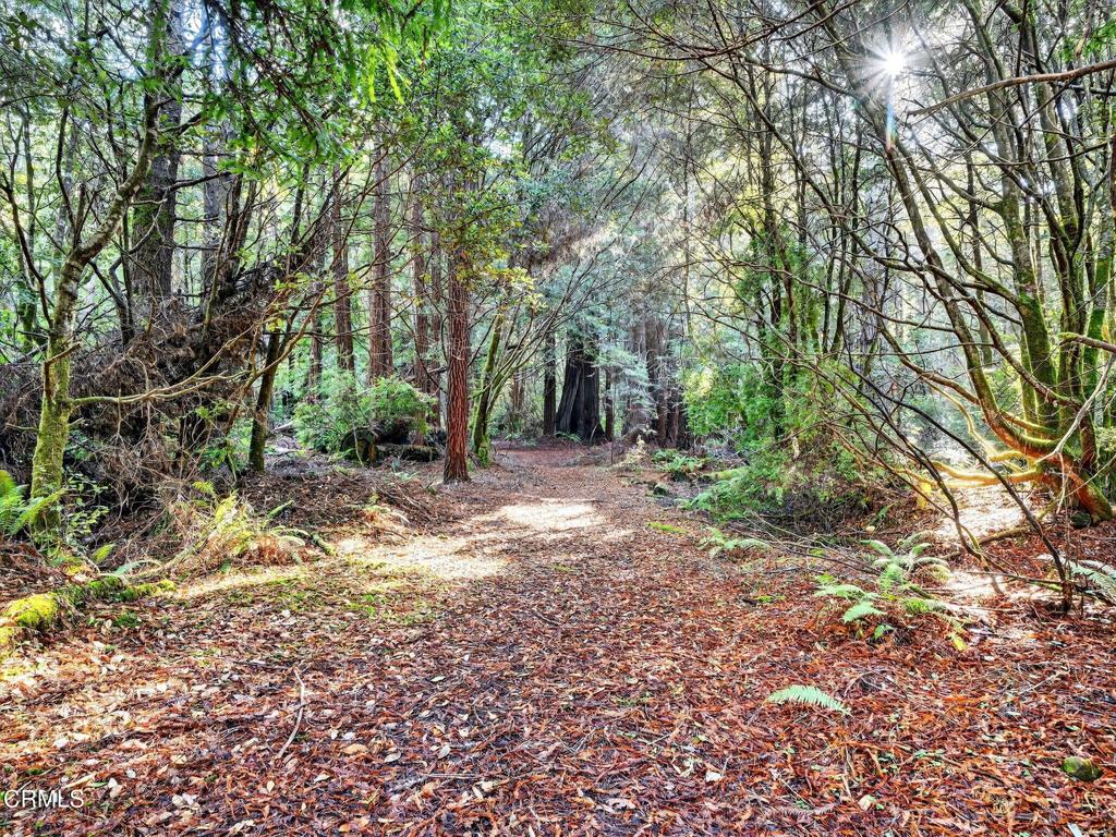 https://media.crmls.org/mediaz/29f0ba81-8512-4f33-a688-1a2cc841b659.jpg?preset=X-Large