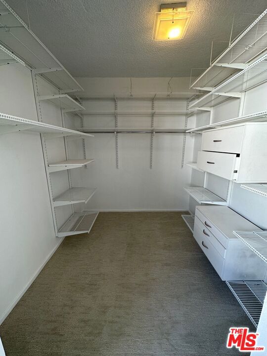 Primary Walk-in Closet