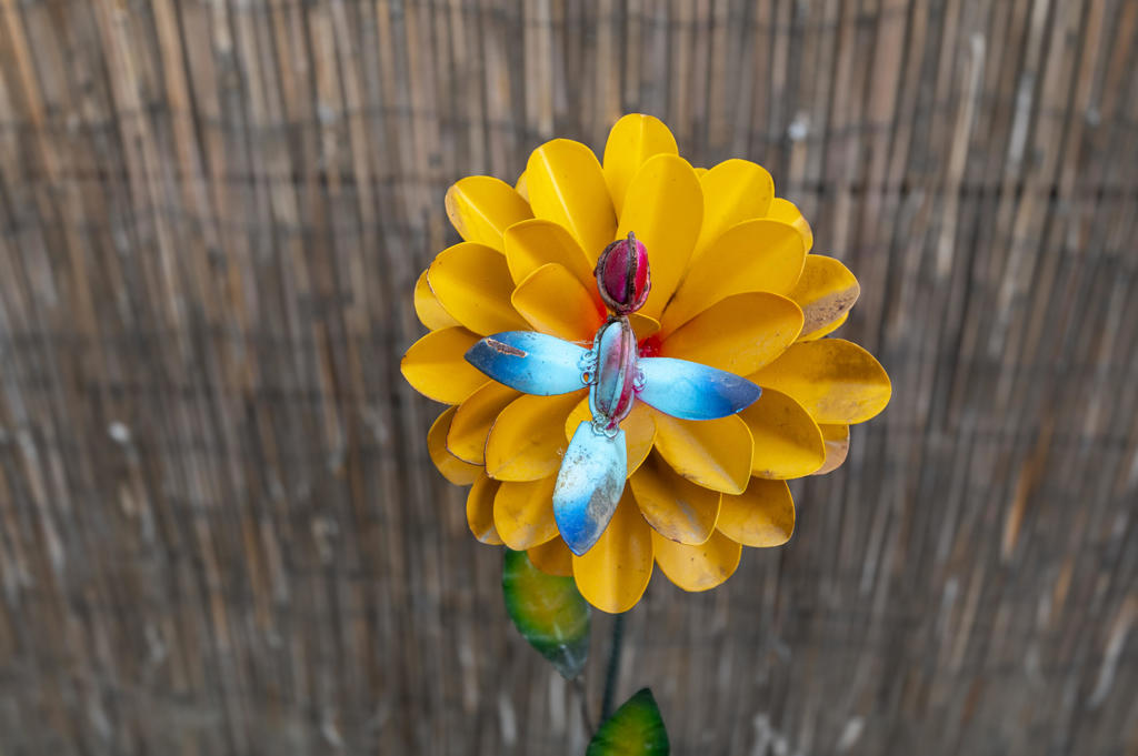 https://media.crmls.org/mediaz/2a01d7f0-6954-46ef-ab78-3e46cc2a1ce7.jpg?preset=X-Large