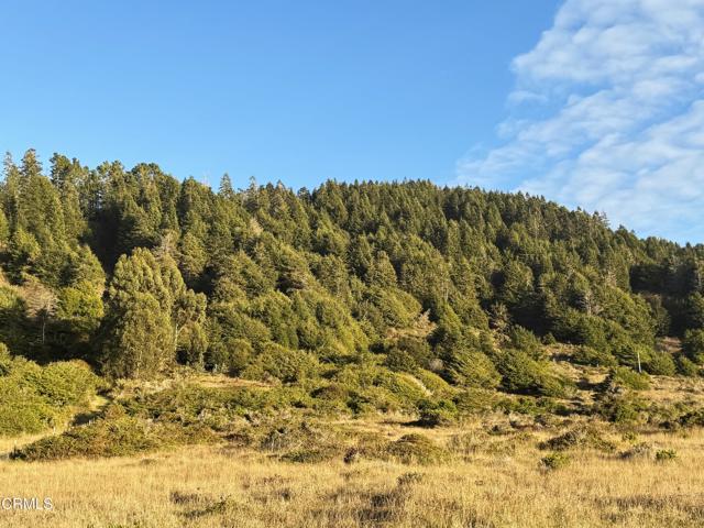 Detail Gallery Image 2 of 9 For 40101 California 1, Westport,  CA 95488 - – Beds | – Baths