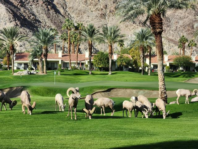 55280 Riviera, La Quinta CA: https://media.crmls.org/mediaz/2a1b1f7f-dca5-485c-9e83-5364f6f547c1.jpg