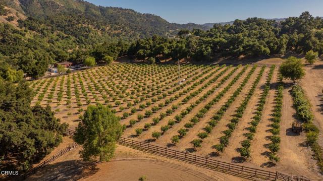 Detail Gallery Image 18 of 43 For 10829 10883 10883 Oak Knoll Rd, Ojai,  CA 93023 - 4 Beds | 4/1 Baths