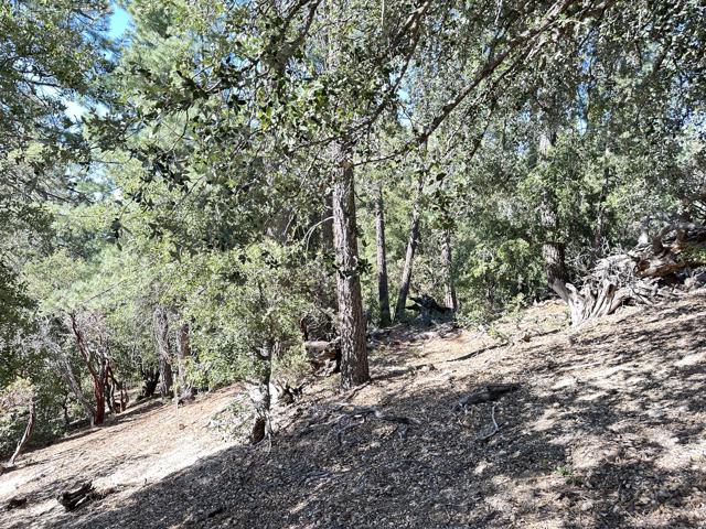 0 Mountain View, Idyllwild CA: https://media.crmls.org/mediaz/2a22d1fb-29e8-46ab-b246-23e32fbc15b0.jpg