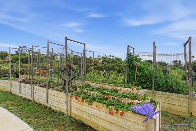 Detail Gallery Image 48 of 62 For 3600 Linda Vista Dr, Fallbrook,  CA 92028 - 4 Beds | 2/1 Baths