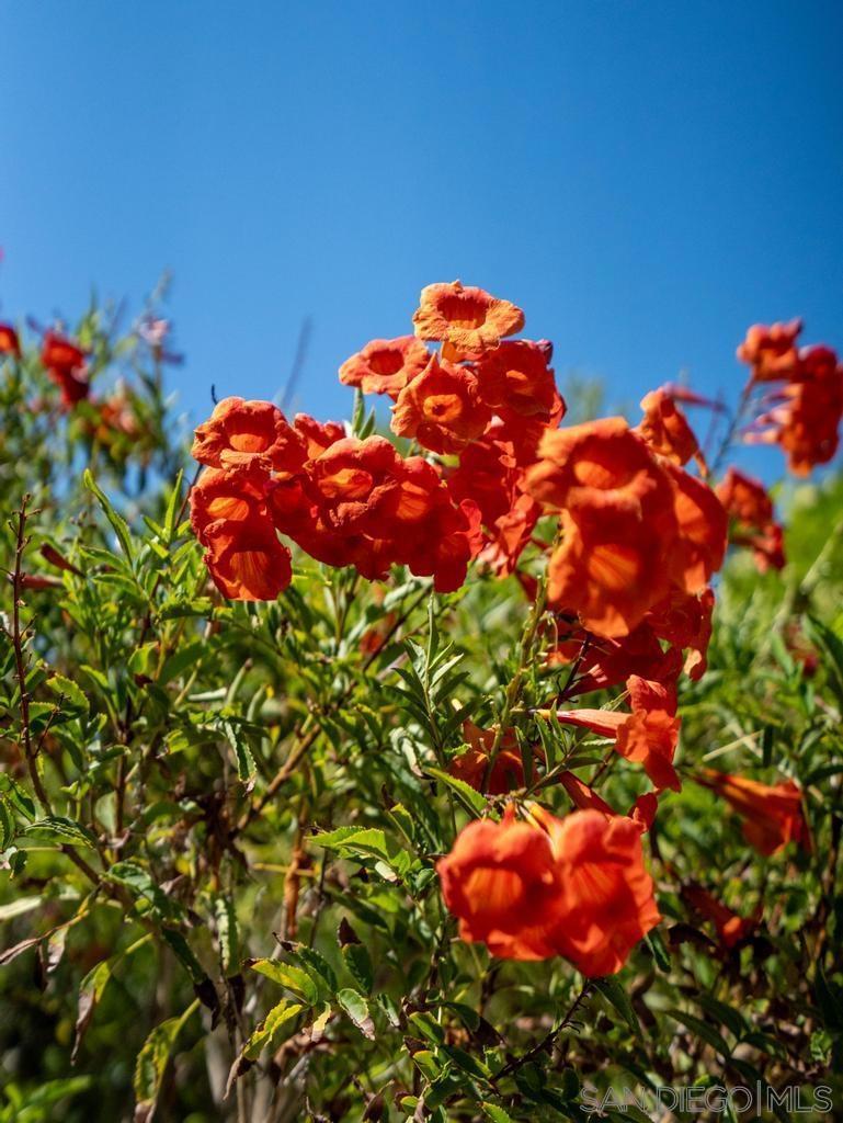 https://media.crmls.org/mediaz/2a26ce0c-ee4e-4eeb-9668-508313c020c4.jpg?preset=X-Large