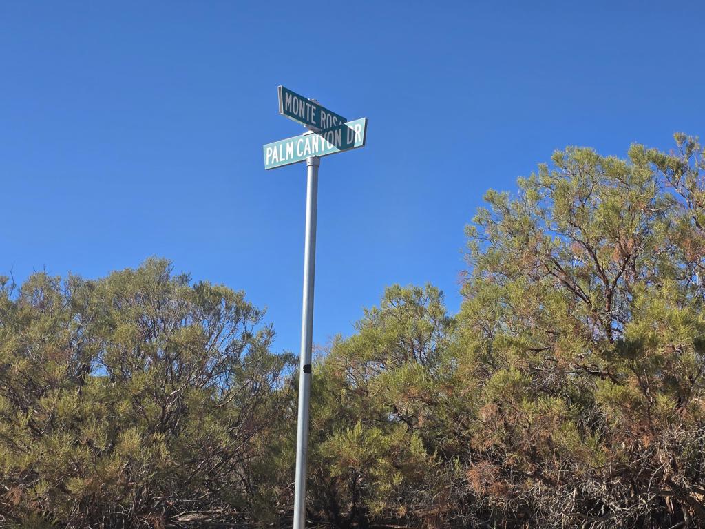 MLS #219138845DA image #4