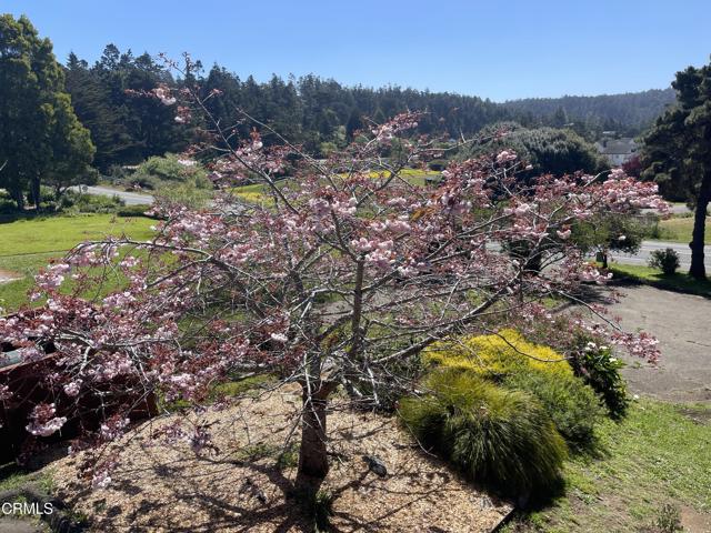44920 Little Lake Road, Mendocino CA: https://media.crmls.org/mediaz/2a2cf5a0-0479-4b8c-a468-20fbd7169d50.jpg