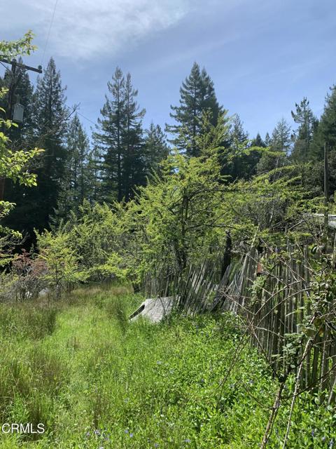 Detail Gallery Image 14 of 41 For 23501 Branscomb Rd, Westport,  CA 95488 - – Beds | – Baths