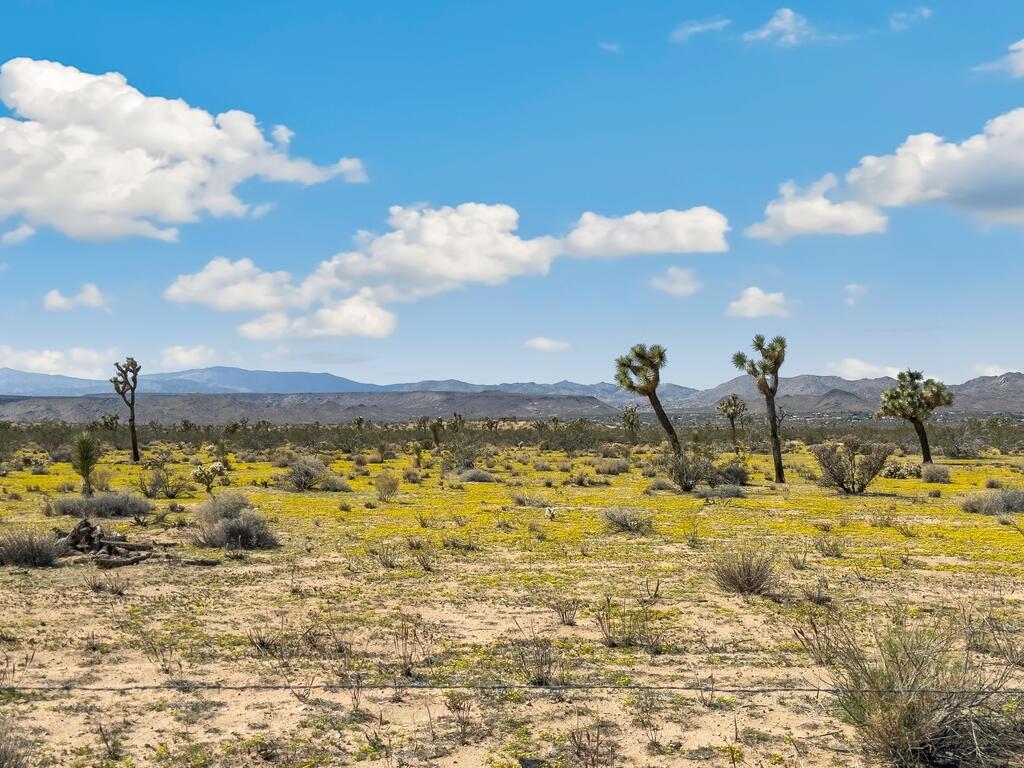 https://media.crmls.org/mediaz/2a4ded98-2b5b-40e7-8b81-4708d2582066.jpg?preset=X-Large