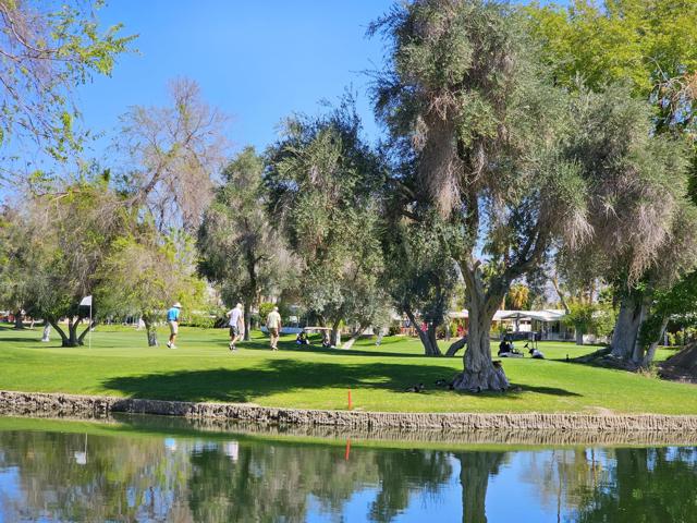 246 S Paseo Laredo, Cathedral City CA: https://media.crmls.org/mediaz/2a52eeee-17ca-468a-8ada-59749713950c.jpg