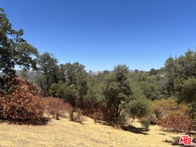31229 Rolling Meadow Court, Coarsegold CA: https://media.crmls.org/mediaz/2a573ebf-97c9-4e66-bf28-fe674b083045.jpg