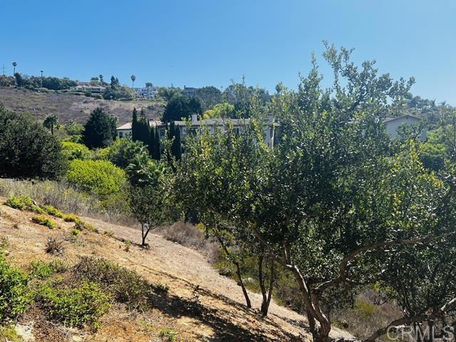 Detail Gallery Image 8 of 34 For 7054 Primentel Ln, Carlsbad,  CA 92009 - 4 Beds | 2/1 Baths