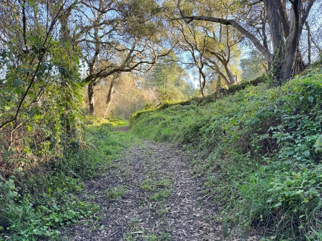 2603 Monterey Avenue, Soquel CA: https://media.crmls.org/mediaz/2a604240-e430-4882-a598-916d4daed4a4.jpg