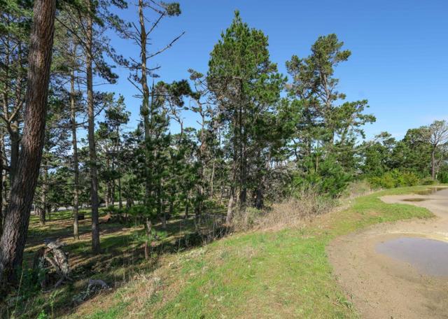 25 Poppy Lane, Pebble Beach CA: https://media.crmls.org/mediaz/2a64c708-a854-462f-bab3-93da8fd9ed65.jpg