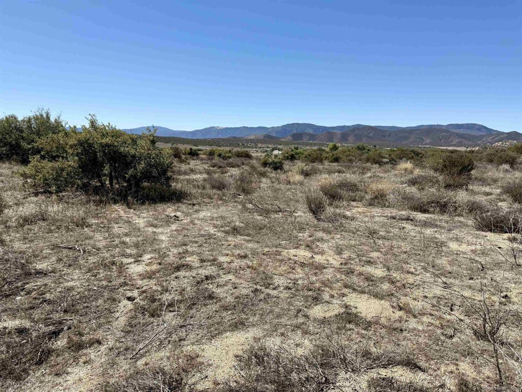 MLS #250041250SD image #10