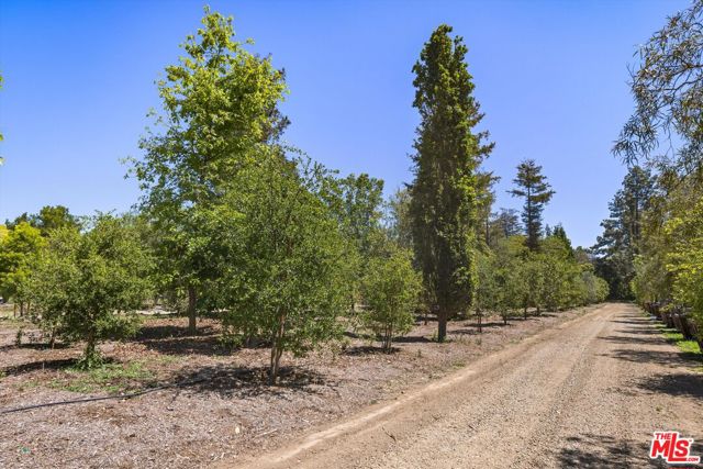 1048 E La Loma Avenue, Somis CA: https://media.crmls.org/mediaz/2a8ff6af-f8e2-47a9-b5c4-8ec9bf6657b3.jpg