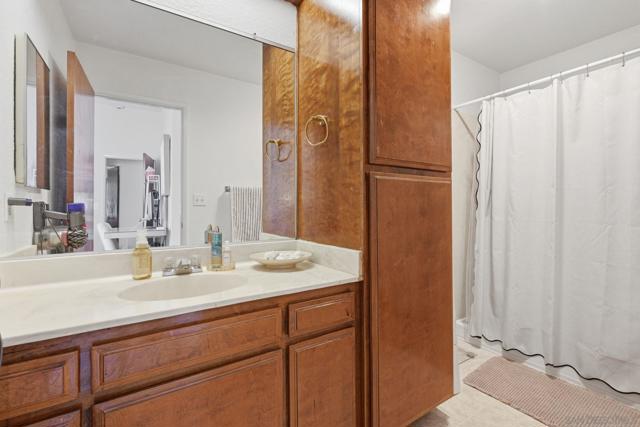 Image 21 of 45 For 1460 Hornblend