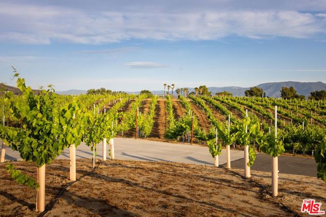 36453 Via El Pais Bonita, Temecula CA: https://media.crmls.org/mediaz/2a9baa4c-7f94-4760-a83a-4777be3dfec9.jpg