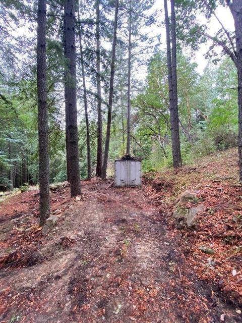 320 Timber Cove, Boulder Creek CA: https://media.crmls.org/mediaz/2aad10c2-23cf-4265-be54-c9d469b097a7.jpg