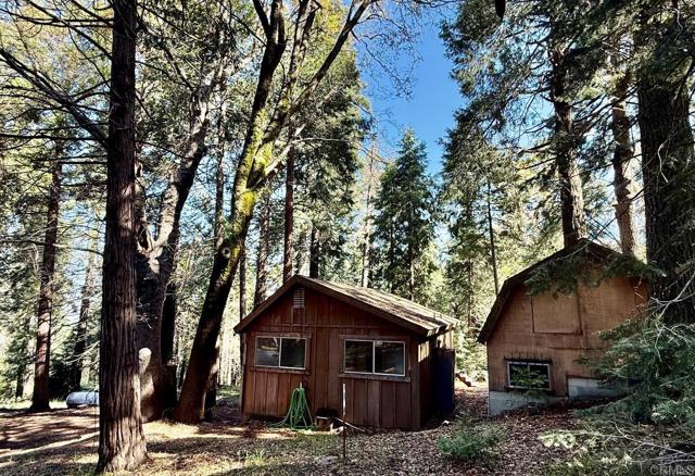 Home for Sale in Palomar Mountain