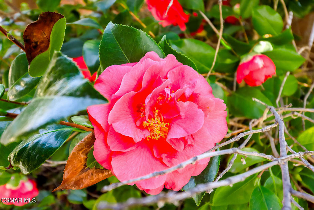 https://media.crmls.org/mediaz/2aae1dd3-7b8f-4d76-b0f6-b856a6be003a.jpg?preset=X-Large