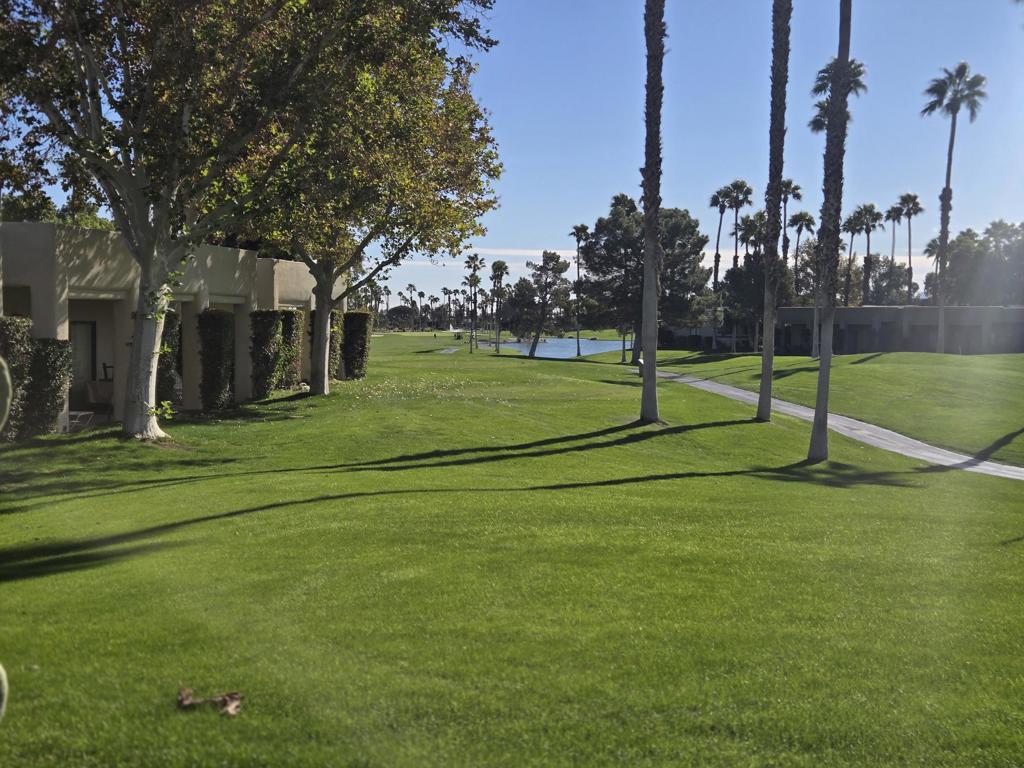 MLS #219138980DA image #7