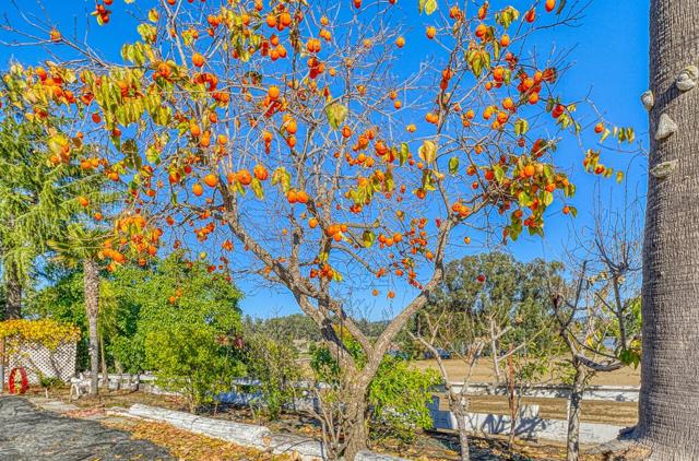 1051 San Miguel Cyn Road, Royal Oaks CA: https://media.crmls.org/mediaz/2ab5a3b0-de36-470c-96cd-c224f33041b6.jpg