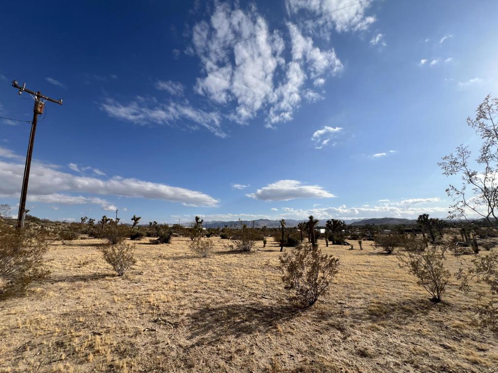 MLS #219138998DA image #14