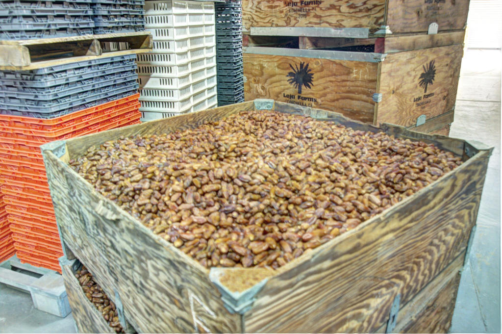 MLS #219136900DA image #22