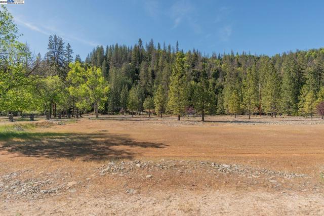 430 Bridge Rd, Douglas City CA: https://media.crmls.org/mediaz/2ac6c11f-4192-4cd4-bc98-809914b47a43.jpg