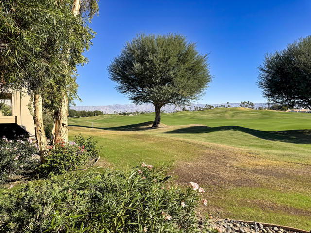 54974 Oaktree, La Quinta CA: https://media.crmls.org/mediaz/2acd2e30-c3d9-451b-a755-5486f8d22e2a.jpg