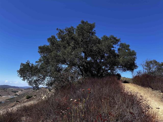 40 Oak Glen Road, Valley Center CA: https://media.crmls.org/mediaz/2ad36c69-fe90-4d8a-a88f-f1148515fa3d.jpg