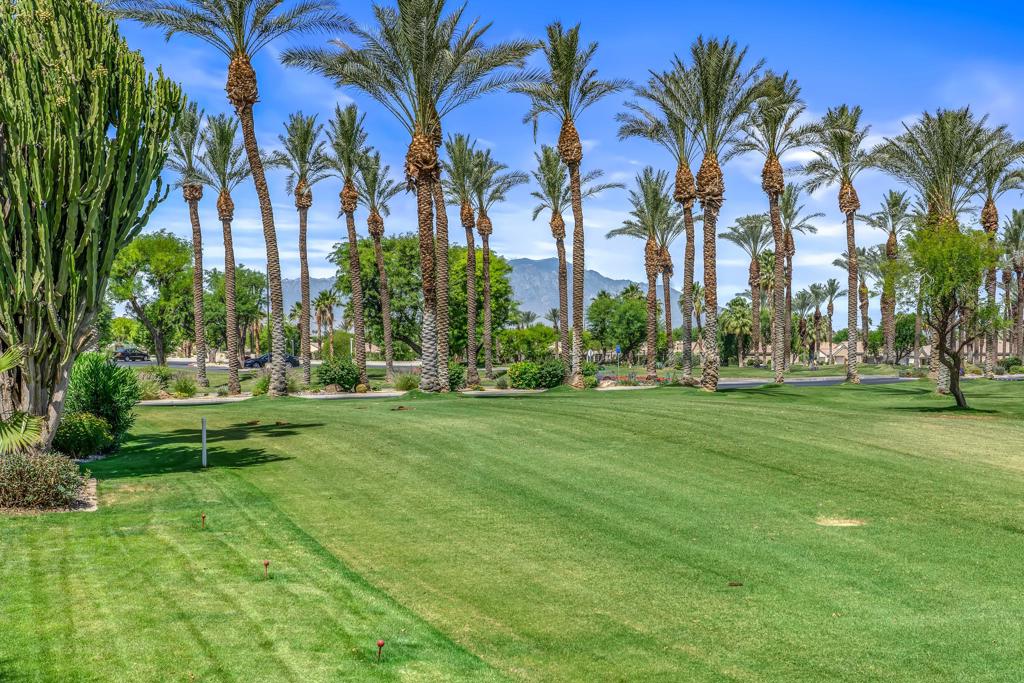 MLS #219137486DA image #4
